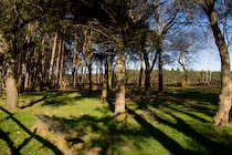 De Mussenberg in de winter